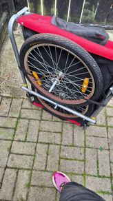 dog bike trailer