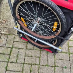 dog bike trailer