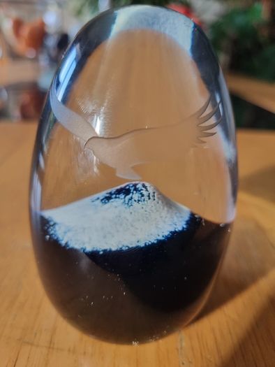 Caithness Scottish glass paperweight