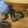 Silver cross Wayfarer travel system Image 5
