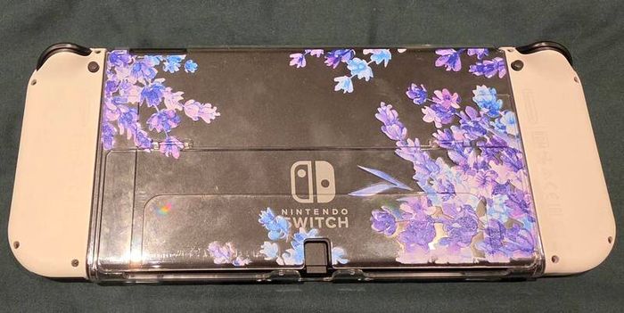 Nintendo Switch 1