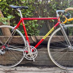 Colnago Master Piu