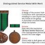 Oglaigh na hEireann Distinguished Service Medal, with Merit Image 3