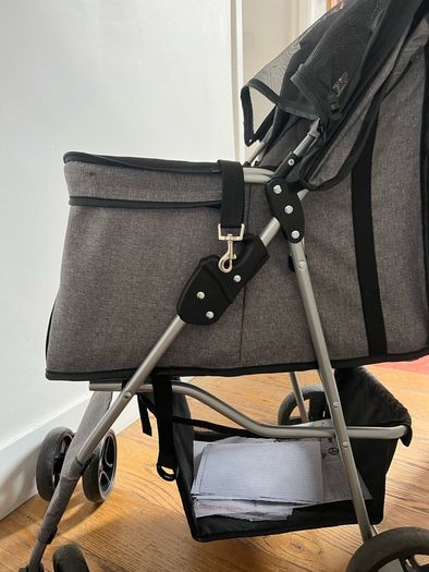 dog pram