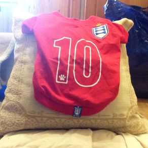 Dog football shirt.