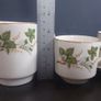 Small Collection of Arklow Pottery Coffee Set Items in the Ragusa Pattern, Plus Some Free Matching Pattern Saucers by Royal Tara. Image 5