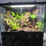 Complete Bio Active Terrarium Image 5