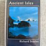 Vintage Irish & Celtic Music Cassette Bundle x3 - New Age Instrumental - VG Image 10