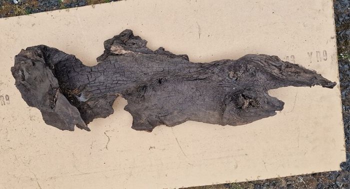 Collection of 4 Ancient Irish Bog Oak Pieces