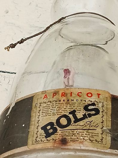 Bols Ballerina
