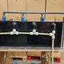 Breeding Fish Tank Setup with Sump Image 2
