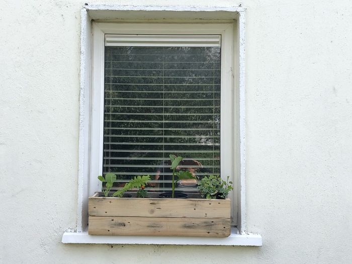 Vintage Wood Builds