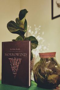 Morrowind Collectors Edition Guide Book & Map