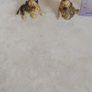Vintage Ceramic Wade Whimsies Alsation Dogs Image 4