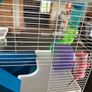 hamster cage Image 2