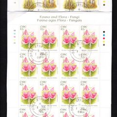 2008 Ireland Fauna & Flora: Fungi Commemorative Stamps Sheetlet Plate 1B1B1B1B1B Fine Used with Dublin cancel of 1st August 2008 (First day of issue)