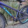 Kids bike Trek Wahoo 24 inch. Mint condition Image 6