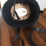 Horse riding helmet Image 3