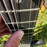 Gibson SG Raven Limited Edition 2021 Satin Ebony Image 7