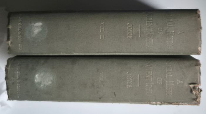 P.W. Joyce's A Social History of Ancient Ireland, 1920