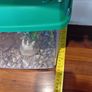 Fish tank Image 3