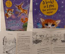 Fairy Animals Of Misty Wood By Lily Small, 3 books in 1 HARDBACK