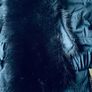 Dorothy Perkins Coat Navy Size 14 Image 6