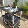 Farmers market double basins sink Image 2