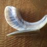 Vintage Horn Carvings X 7 ( Reduced) Image 8