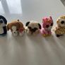 Ty beanie boo bundle (Medium size). Image 2