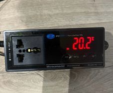 Ringder Thermostat for Reptile Tank Vivarium Acessories