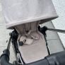 buggy Image 5