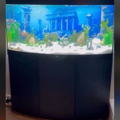 Juwel Vision 260 Aquarium Full Setup