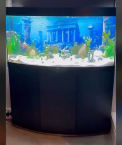 Juwel Vision 260 Aquarium Full Setup