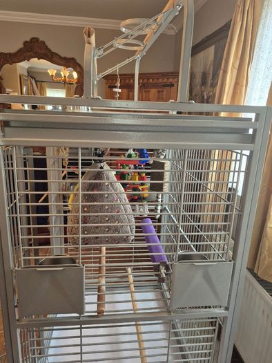 Large bird cage
