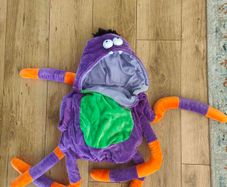 Dress up costume