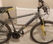 Mountain bike