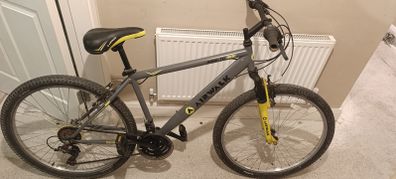 Mountain bike