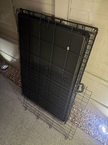 Free Large Dog Crate