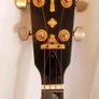 Framus Deluxe Gold Banjo Image 5