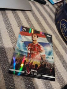 Virgil van dijk