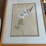 Botanical pastel drawing - framed Image 5