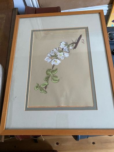 Botanical pastel drawing - framed