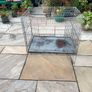 XL dog Crate Image 5