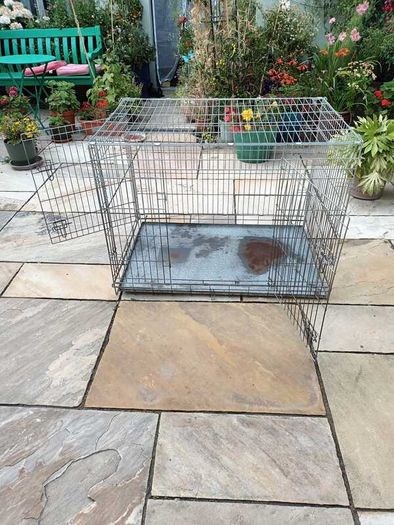 XL dog Crate