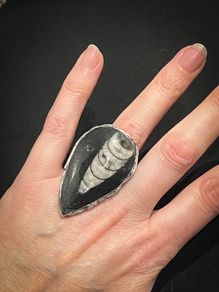 1 Orthoceras Extinct Natural Fossil Black White Handcrafted Ring size 8