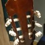 classical guitar Image 9