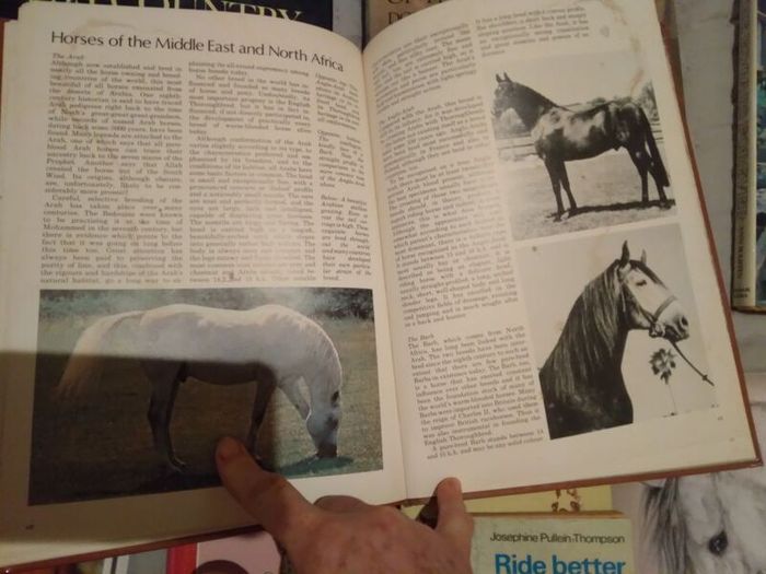 Horse / Equestrian Books