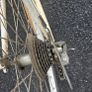 Trek 810 Singletrack Mountain Bike Image 4