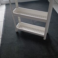 Bathroom shelf on wheels